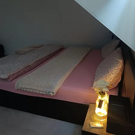 In Dreamy Dutch House ホームステイ